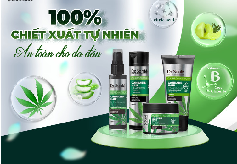 Bộ dầu gội phục hồi tóc hư tổn Cannabis Hair (Dầu gội + Dầu xả + Xịt dưỡng tóc)