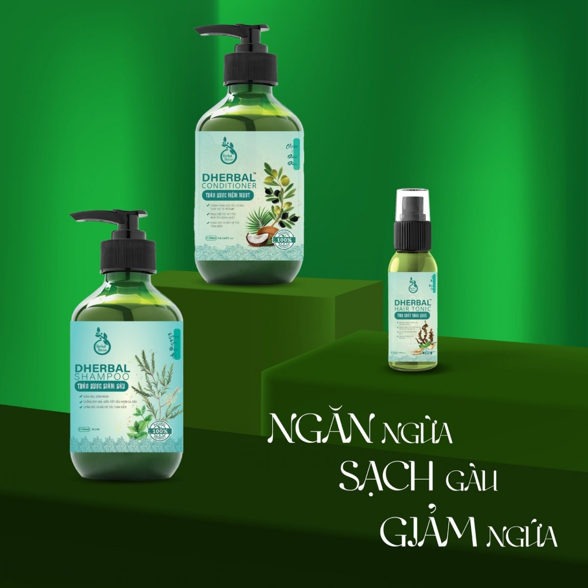 Combo Ngăn Ngừa, Sạch Gàu, Giảm Ngứa DHerbal